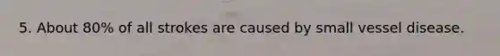 5. About 80% of all strokes are caused by small vessel disease.