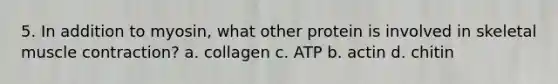 5. In addition to myosin, what other protein is involved in skeletal muscle contraction? a. collagen c. ATP b. actin d. chitin