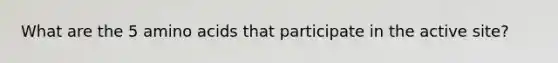 What are the 5 amino acids that participate in the active site?