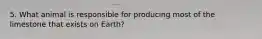 5. What animal is responsible for producing most of the limestone that exists on Earth?