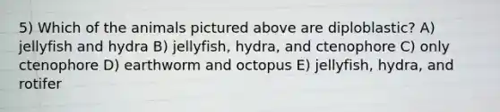 5) Which of the animals pictured above are diploblastic? A) jellyfish and hydra B) jellyfish, hydra, and ctenophore C) only ctenophore D) earthworm and octopus E) jellyfish, hydra, and rotifer