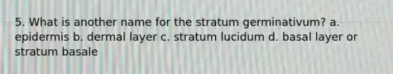 5. What is another name for the stratum germinativum? a. epidermis b. dermal layer c. stratum lucidum d. basal layer or stratum basale