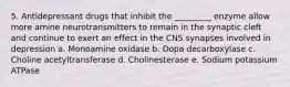 5. Antidepressant drugs that inhibit the _________ enzyme allow more amine neurotransmitters to remain in the synaptic cleft and continue to exert an effect in the CNS synapses involved in depression a. Monoamine oxidase b. Dopa decarboxylase c. Choline acetyltransferase d. Cholinesterase e. Sodium potassium ATPase