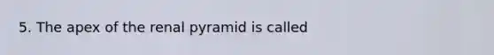 5. The apex of the renal pyramid is called