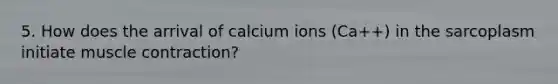 5. How does the arrival of calcium ions (Ca++) in the sarcoplasm initiate muscle contraction?