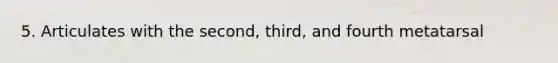 5. Articulates with the second, third, and fourth metatarsal