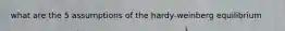 what are the 5 assumptions of the hardy-weinberg equilibrium