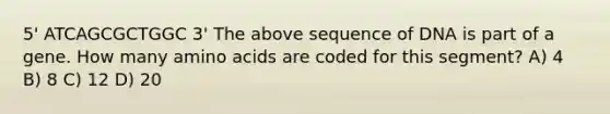 5' ATCAGCGCTGGC 3' The above sequence of DNA is part of a gene. How many amino acids are coded for this segment? A) 4 B) 8 C) 12 D) 20