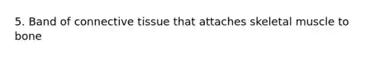 5. Band of connective tissue that attaches skeletal muscle to bone