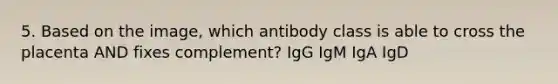 5. Based on the image, which antibody class is able to cross the placenta AND fixes complement? IgG IgM IgA IgD