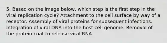 5. Based on the image below, which step is the first step in the viral replication cycle? Attachment to the cell surface by way of a receptor. Assembly of viral proteins for subsequent infections. Integration of viral DNA into the host cell genome. Removal of the protein coat to release viral RNA.