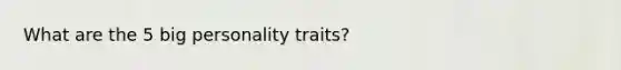 What are the 5 big personality traits?