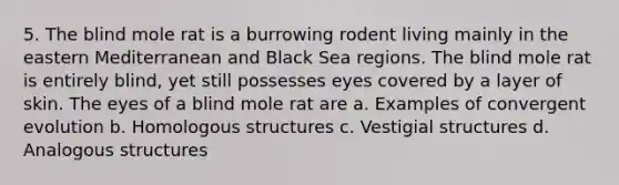 5. The blind mole rat is a burrowing rodent living mainly in the eastern Mediterranean and Black Sea regions. The blind mole rat is entirely blind, yet still possesses eyes covered by a layer of skin. The eyes of a blind mole rat are a. Examples of convergent evolution b. Homologous structures c. Vestigial structures d. Analogous structures