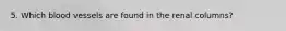 5. Which blood vessels are found in the renal columns?