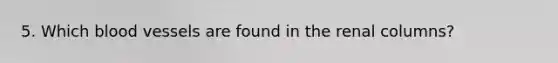 5. Which <a href='https://www.questionai.com/knowledge/kZJ3mNKN7P-blood-vessels' class='anchor-knowledge'>blood vessels</a> are found in the renal columns?