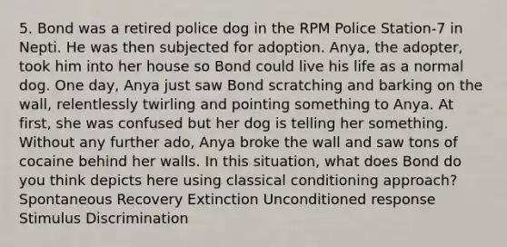 5. Bond was a retired police dog in the RPM Police Station-7 in Nepti. He was then subjected for adoption. Anya, the adopter, took him into her house so Bond could live his life as a normal dog. One day, Anya just saw Bond scratching and barking on the wall, relentlessly twirling and pointing something to Anya. At first, she was confused but her dog is telling her something. Without any further ado, Anya broke the wall and saw tons of cocaine behind her walls. In this situation, what does Bond do you think depicts here using classical conditioning approach? Spontaneous Recovery Extinction Unconditioned response Stimulus Discrimination