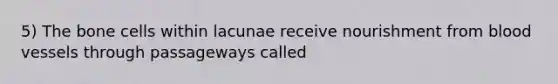 5) The bone cells within lacunae receive nourishment from blood vessels through passageways called