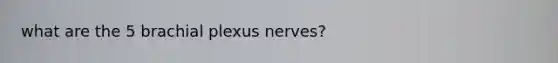 what are the 5 brachial plexus nerves?