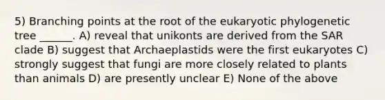 5) Branching points at the root of the eukaryotic phylogenetic tree ______. A) reveal that unikonts are derived from the SAR clade B) suggest that Archaeplastids were the first eukaryotes C) strongly suggest that fungi are more closely related to plants than animals D) are presently unclear E) None of the above