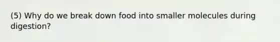 (5) Why do we break down food into smaller molecules during digestion?