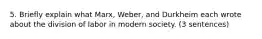 5. Briefly explain what Marx, Weber, and Durkheim each wrote about the division of labor in modern society. (3 sentences)