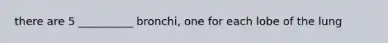 there are 5 __________ bronchi, one for each lobe of the lung