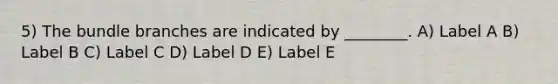 5) The bundle branches are indicated by ________. A) Label A B) Label B C) Label C D) Label D E) Label E