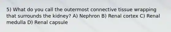 5) What do you call the outermost connective tissue wrapping that surrounds the kidney? A) Nephron B) Renal cortex C) Renal medulla D) Renal capsule