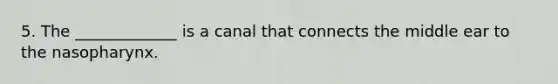 5. The _____________ is a canal that connects the middle ear to the nasopharynx.