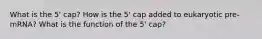 What is the 5' cap? How is the 5' cap added to eukaryotic pre-mRNA? What is the function of the 5' cap?