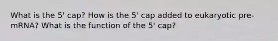 What is the 5' cap? How is the 5' cap added to eukaryotic pre-mRNA? What is the function of the 5' cap?