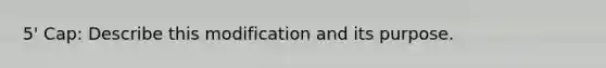 5' Cap: Describe this modification and its purpose.