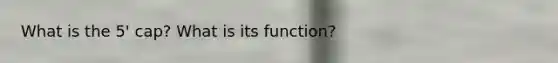 What is the 5' cap? What is its function?