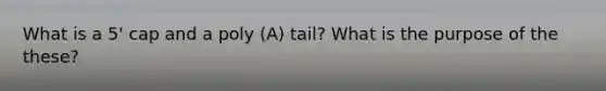 What is a 5' cap and a poly (A) tail? What is the purpose of the these?