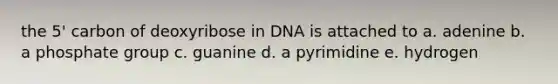 the 5' carbon of deoxyribose in DNA is attached to a. adenine b. a phosphate group c. guanine d. a pyrimidine e. hydrogen