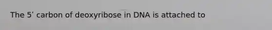 The 5ʹ carbon of deoxyribose in DNA is attached to