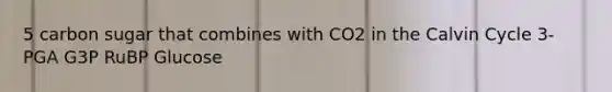 5 carbon sugar that combines with CO2 in the Calvin Cycle 3-PGA G3P RuBP Glucose