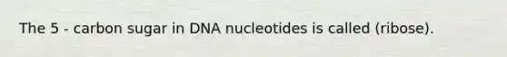 The 5 - carbon sugar in DNA nucleotides is called (ribose).