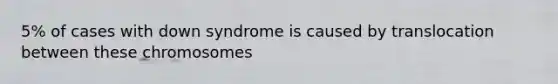 5% of cases with down syndrome is caused by translocation between these chromosomes