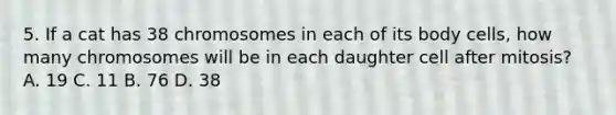 5. If a cat has 38 chromosomes in each of its body cells, how many chromosomes will be in each daughter cell after mitosis? A. 19 C. 11 B. 76 D. 38