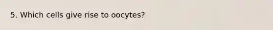 5. Which cells give rise to oocytes?