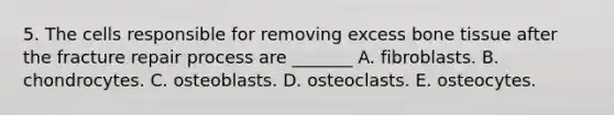 5. The cells responsible for removing excess bone tissue after the fracture repair process are _______ A. fibroblasts. B. chondrocytes. C. osteoblasts. D. osteoclasts. E. osteocytes.