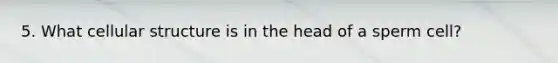 5. What cellular structure is in the head of a sperm cell?