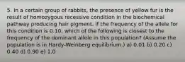 5. In a certain group of rabbits, the presence of yellow fur is the result of homozygous recessive condition in the biochemical pathway producing hair pigment. If the frequency of the allele for this condition is 0.10, which of the following is closest to the frequency of the dominant allele in this population? (Assume the population is in Hardy-Weinberg equilibrium.) a) 0.01 b) 0.20 c) 0.40 d) 0.90 e) 1.0