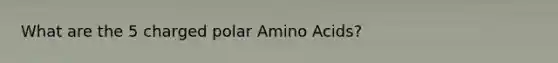 What are the 5 charged polar <a href='https://www.questionai.com/knowledge/k9gb720LCl-amino-acids' class='anchor-knowledge'>amino acids</a>?