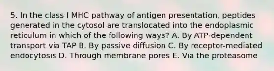 5. In the class I MHC pathway of antigen presentation, peptides generated in the cytosol are translocated into the endoplasmic reticulum in which of the following ways? A. By ATP-dependent transport via TAP B. By passive diffusion C. By receptor-mediated endocytosis D. Through membrane pores E. Via the proteasome