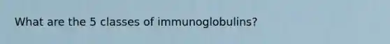 What are the 5 classes of immunoglobulins?