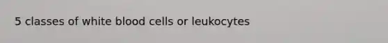 5 classes of white blood cells or leukocytes