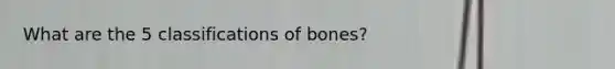 What are the 5 classifications of bones?