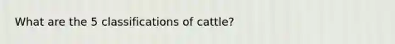 What are the 5 classifications of cattle?